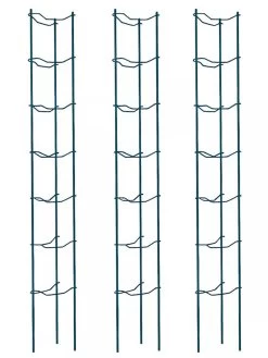 Tomato Ladders, Set Of 3 10 Tomato Ladders, Set Of 3 -Plant Care Shop 38184 002E psd