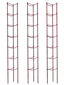 Tomato Ladders, Set Of 3 11 Tomato Ladders, Set Of 3 -Plant Care Shop 38185 002E psd
