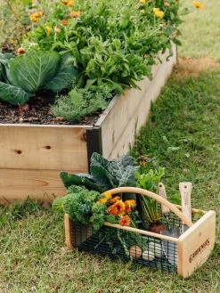 Garden Hods 10 Garden Hods -Plant Care Shop 39 761 572 tif