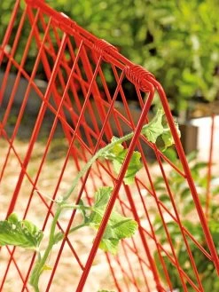 Deluxe Cucumber Trellis -Plant Care Shop 39806 542 tif
