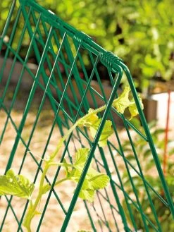 Deluxe Cucumber Trellis -Plant Care Shop 39806 GR edit tif