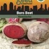 Beet, Boro Organic Seeds -Plant Care Shop 3 4 crop 02367 8613546 Beet Boro SDSC