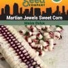 Corn, Martian Jewels Organic Seeds -Plant Care Shop 3 4 crop 83806 8613559 Corn Martian Jewels Sweet SDSC