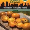 Tomato, Thornburns Terra Cotta Organic Seeds -Plant Care Shop 3 4 crop 85640 8613571 Tomato Thornburns Terra Cotta SDSC