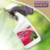 Bonide® Japanese Beetle Killer -Plant Care Shop 3 4 crop 8586927 01V 3 4