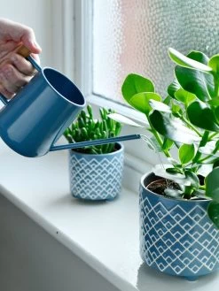 Pinpoint Indoor Watering Can -Plant Care Shop 3 4 crop 8612963 03V tif