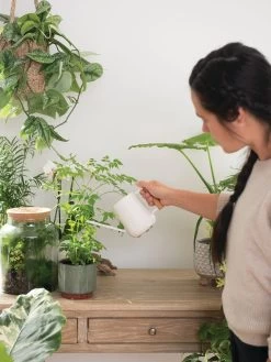 Pinpoint Indoor Watering Can -Plant Care Shop 3 4 crop 8612963 3774