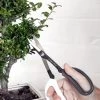 Japanese Pruning Scisssors -Plant Care Shop 3 4 crop 8612968 02V japanese pruning scisssors