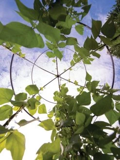 Jardin Tower -Plant Care Shop 3 4 crop 8612997 0033