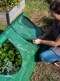 Multi Cloche 15 Multi Cloche -Plant Care Shop 3 4 crop 8613213 0245