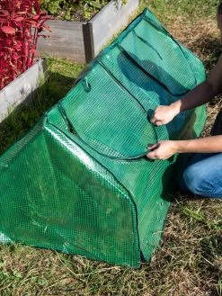 Multi Cloche 14 Multi Cloche -Plant Care Shop 3 4 crop 8613213 0250