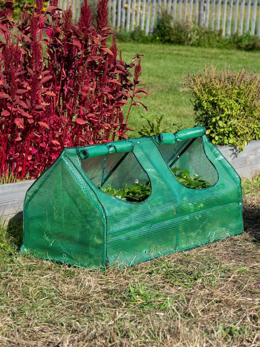 Multi Cloche 3 Multi Cloche