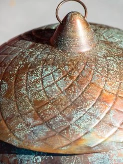 Acorn Hose Pot -Plant Care Shop 3 4 crop 8613361 0045