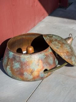 Acorn Hose Pot -Plant Care Shop 3 4 crop 8613361 0051