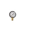Pressure Gauge – 0-30 PSI -Plant Care Shop 6287 01 prssuregauge