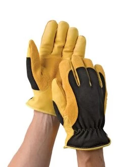 Men's Gold Leaf Winter Touch™ Gloves 7 Men's Gold Leaf Winter Touch™ Gloves -Plant Care Shop 8586897 012