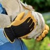 Men's Gold Leaf Winter Touch™ Gloves 2 Men's Gold Leaf Winter Touch™ Gloves -Plant Care Shop 8586897 537