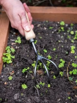 Featured Products -Plant Care Shop 8586971 3014 tif