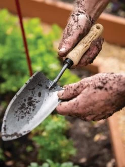 Gardener's Lifetime Trowel -Plant Care Shop 8586972 3242 tif