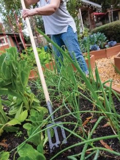 Featured Products -Plant Care Shop 8586973 2385 tif