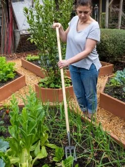 Gardener's Lifetime Spork -Plant Care Shop 8586973 2405 tif