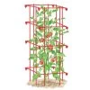 Tomato Cage, Single 2 Tomato Cage, Single -Plant Care Shop 8587039 TomatoCage tif