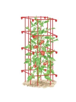 Tomato Cage, Single