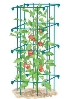 Tomato Cage, Single -Plant Care Shop 8587039 TomatoCage BLUE tif