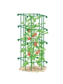 Tomato Cage, Single -Plant Care Shop 8587039 TomatoCage GRN tif
