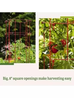 Tomato Cages, Set Of 4 -Plant Care Shop 8587040 2