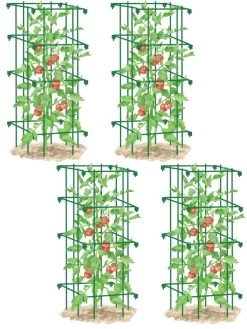 Tomato Cages, Set Of 4 -Plant Care Shop 8587040 GR 001E tif