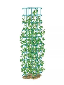 Bean Tower -Plant Care Shop 8587060 BeanTower BLUE