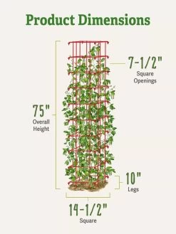 Bean Tower -Plant Care Shop 8587060 dimensions