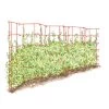 Expandable Pea Trellis -Plant Care Shop 8587061 PeaFence Red 001E tif