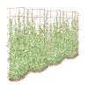 Tall Expandable Pea Trellis 2 Tall Expandable Pea Trellis -Plant Care Shop 8587062 0001 RED tall expandable pea trelis tif