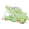 Large Cucumber Trellis -Plant Care Shop 8587082 CukeTrellis L Blk 001E tif