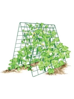 Deluxe Cucumber Trellis -Plant Care Shop 8587083 001 GRN tif