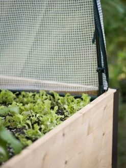 Protection Frame & Covers, 2' X 4' 10 Protection Frame & Covers, 2' X 4' -Plant Care Shop 8587631 265 tif