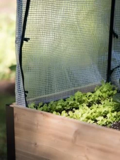 Protection Frame & Covers, 2' X 4' 11 Protection Frame & Covers, 2' X 4' -Plant Care Shop 8587631 268 tif