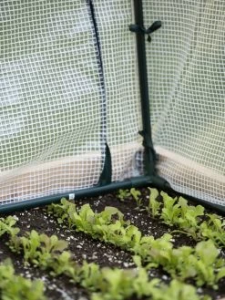 Protection Frame & Covers, 2' X 4' 12 Protection Frame & Covers, 2' X 4' -Plant Care Shop 8587631 271 tif
