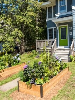 Zenith Folding Garden Supports, Set Of 2 16 Zenith Folding Garden Supports, Set Of 2 -Plant Care Shop 8587807 0801 tif