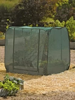 Pest Control Pop-Ups -Plant Care Shop 8587859 026 tif