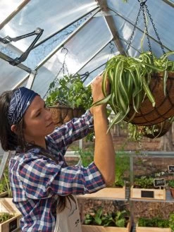 Canopia® By Palram Balance Greenhouse, 8' X 12' -Plant Care Shop 8588023 07V jpg