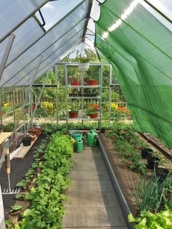 Canopia® By Palram Balance Greenhouse, 8' X 12' -Plant Care Shop 8588023 10V jpg