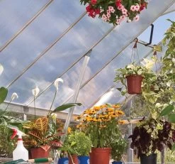 Canopia® By Palram Balance Greenhouse, 8' X 12' -Plant Care Shop 8588023 20V jpg