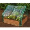Extendable Cold Frame Greenhouse 1 Extendable Cold Frame Greenhouse -Plant Care Shop 8588247 03V extendable cold frame greenhouse