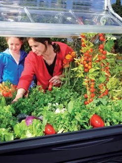 Canopia® By Palram Plant Inn™ Raised Bed Greenhouse, 4' X 4' 29 Canopia® By Palram Plant Inn™ Raised Bed Greenhouse, 4' X 4' -Plant Care Shop 8588308 03V tif