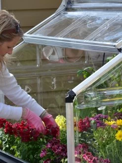 Canopia® By Palram Plant Inn™ Raised Bed Greenhouse, 4' X 4' 27 Canopia® By Palram Plant Inn™ Raised Bed Greenhouse, 4' X 4' -Plant Care Shop 8588308 04V tif