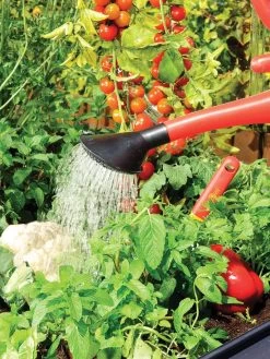 Canopia® By Palram Plant Inn™ Raised Bed Greenhouse, 4' X 4' 24 Canopia® By Palram Plant Inn™ Raised Bed Greenhouse, 4' X 4' -Plant Care Shop 8588308 06V tif