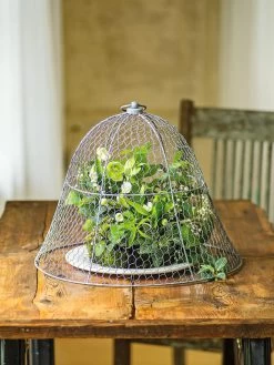 Chicken Wire Cloche -Plant Care Shop 8590210 1 tif